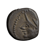 Allobroges denier a l hippocampe