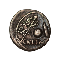 Denier cornelia